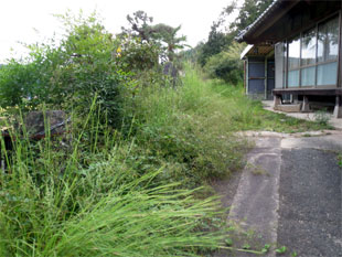 空き家周辺 除草前